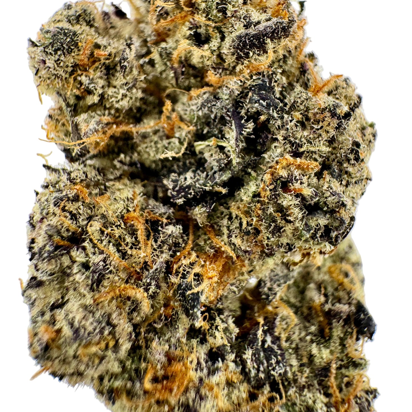 Close-up of a cannabis bud with trichomes on a white background