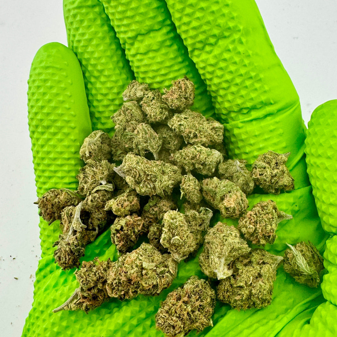 7 Best THCA Flower Strains in 2026