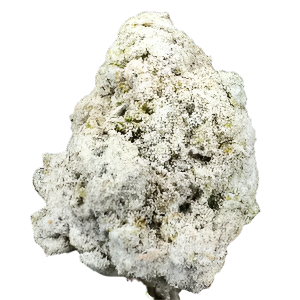 FROSTY NUGS - 99.4% THCA Diamond Frosted Ice Cream Cake by BLUNT STREET - Indica THCA Cannabis Delta-9 Top Shelf Flower, HIGH THC! Blunt Street