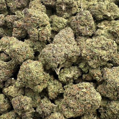 Close-up of cannabis buds on a white background
