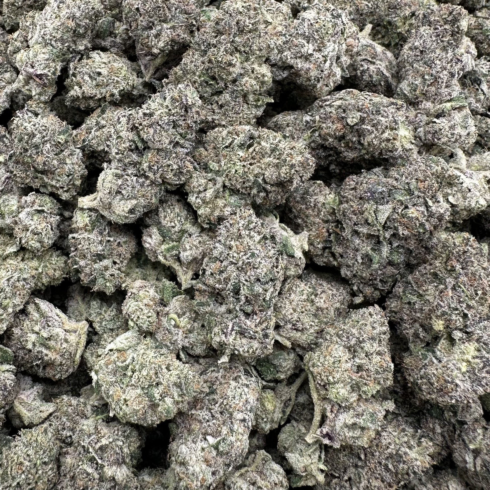 Close-up of dried cannabis buds in a clear plastic bag