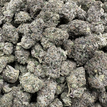 Close-up of dried cannabis buds in a clear plastic bag