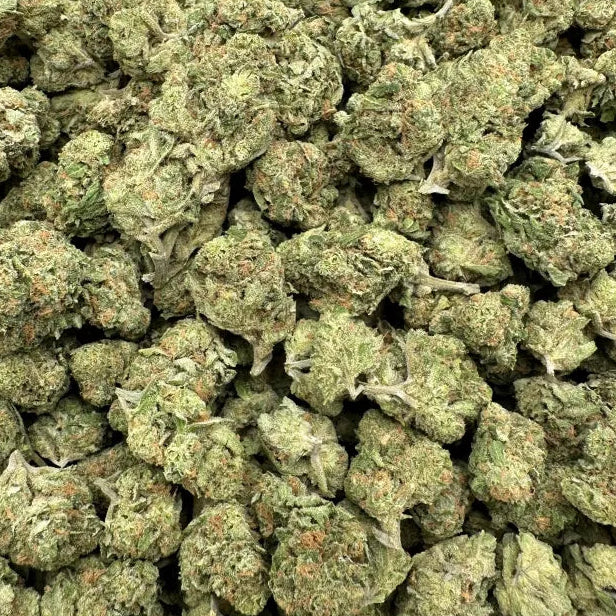 Close-up of green cannabis buds on a white background