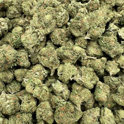 Close-up of green cannabis buds on a white background