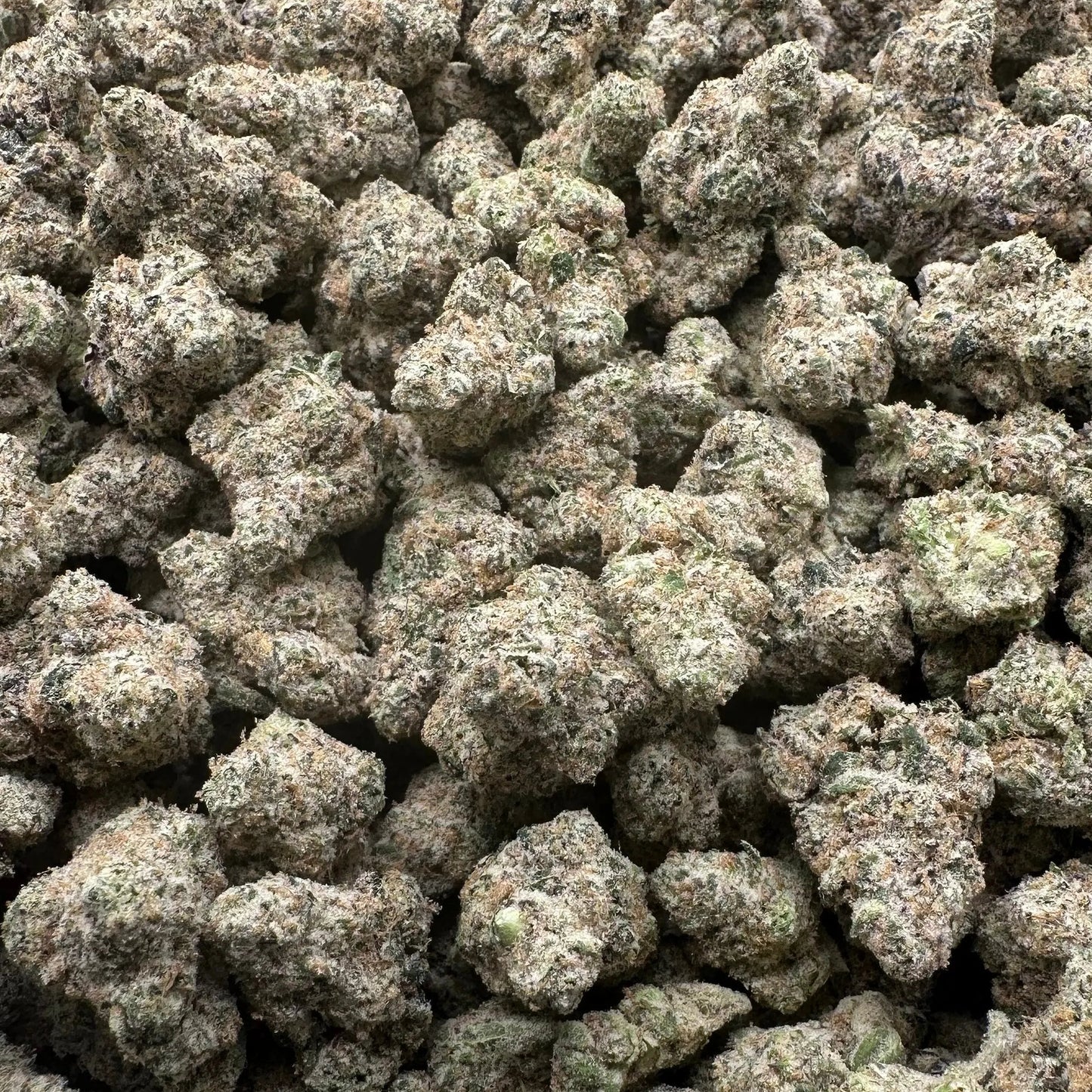 Close-up of a pile of cannabis buds in a clear plastic bag.