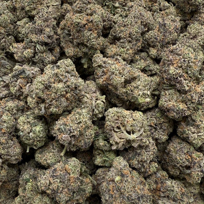 Close-up of a pile of dried cannabis buds on a clear plastic surface.