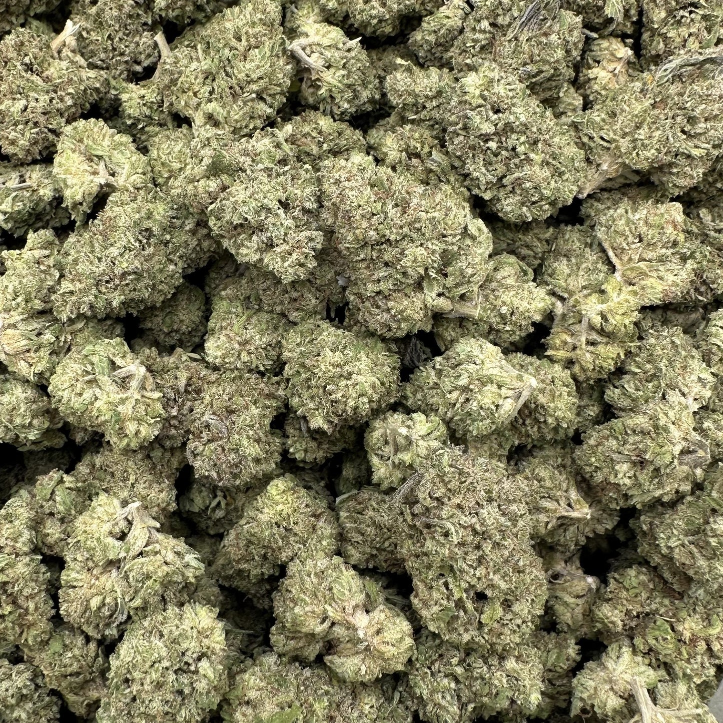 Close-up of a pile of green cannabis buds in a clear plastic bag.