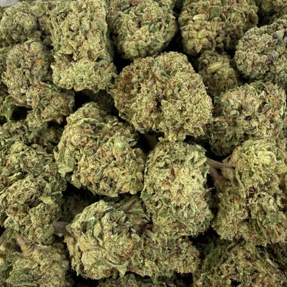 Close-up of green cannabis buds on a white background
