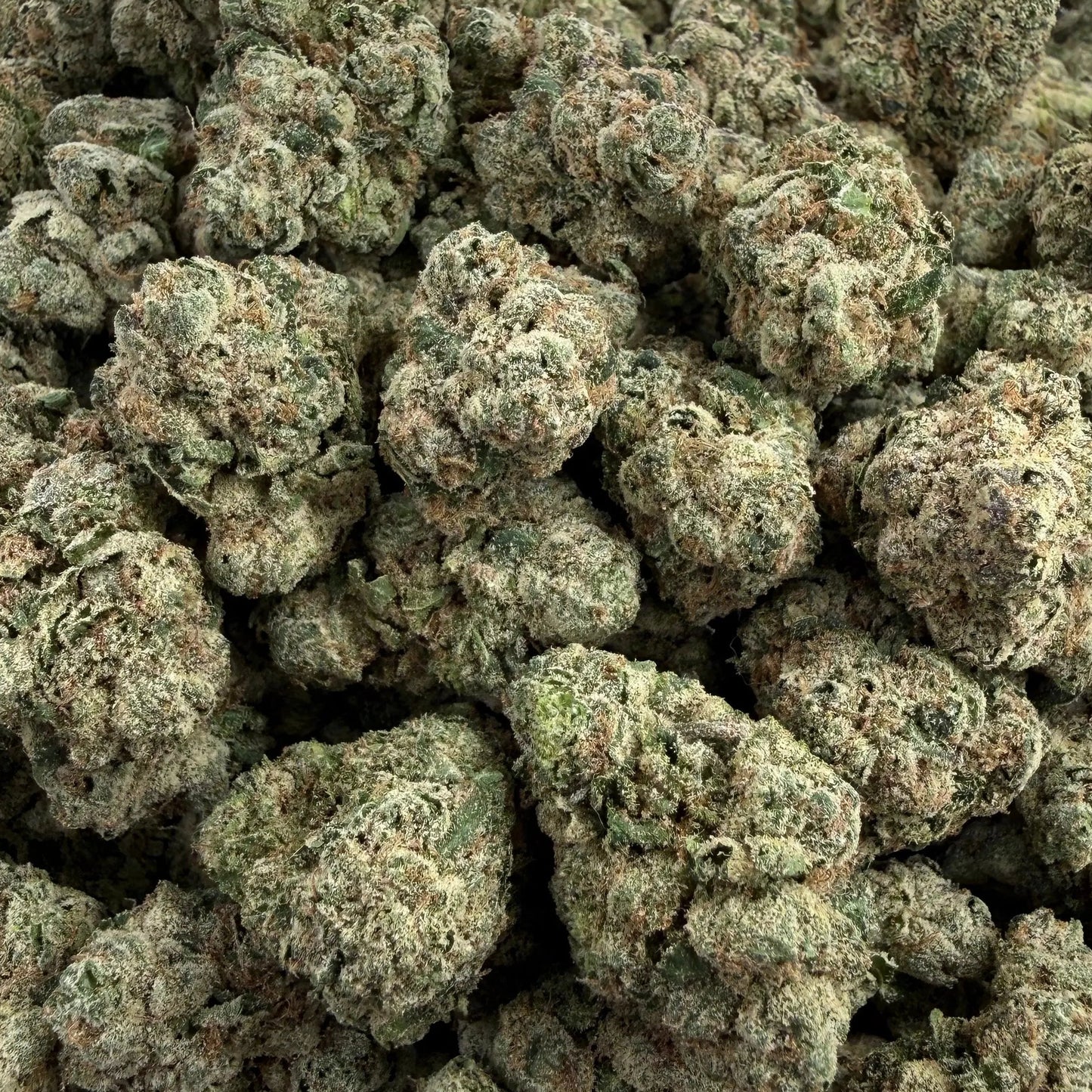Close-up of green cannabis buds on a clear plastic surface