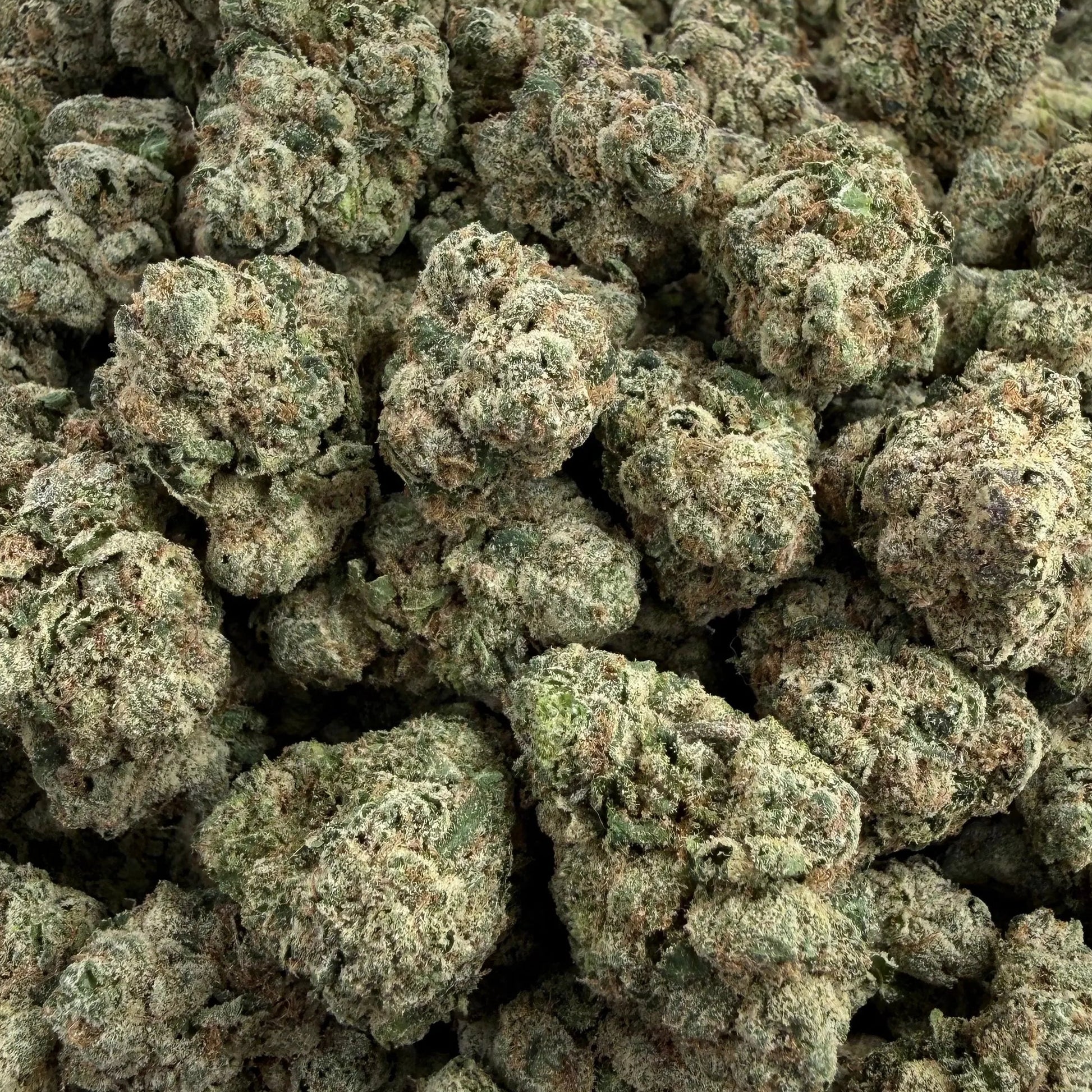 Close-up of green cannabis buds on a clear plastic surface
