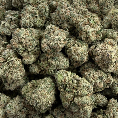 Close-up of green cannabis buds on a clear plastic surface