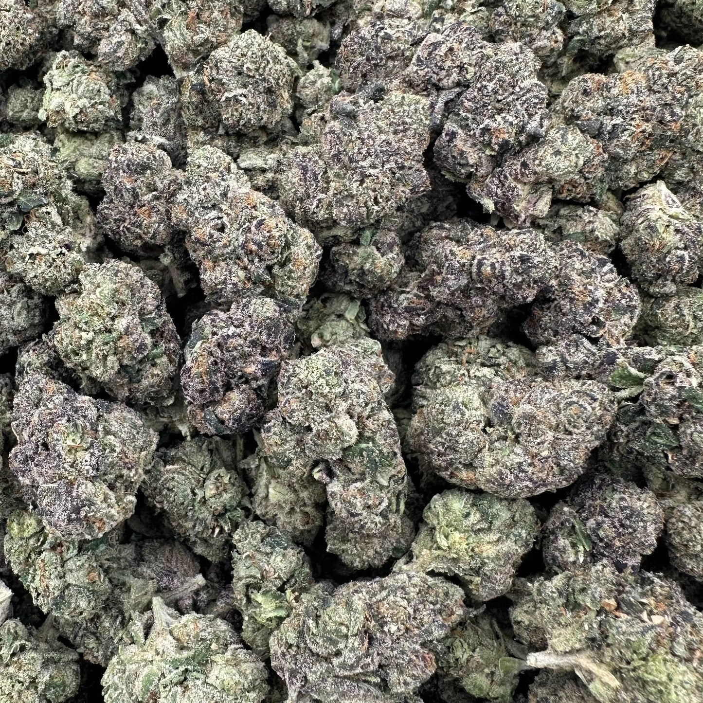 Close-up of dried cannabis buds on a white background