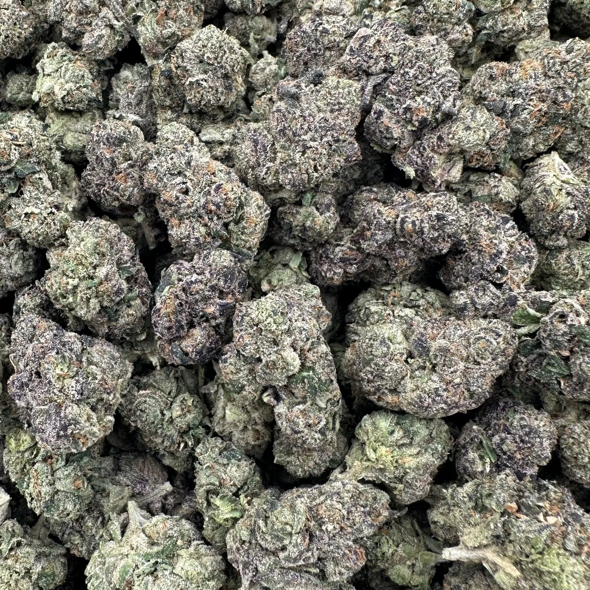 Close-up of dried cannabis buds on a white background