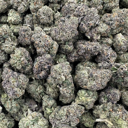 Close-up of dried cannabis buds on a white background
