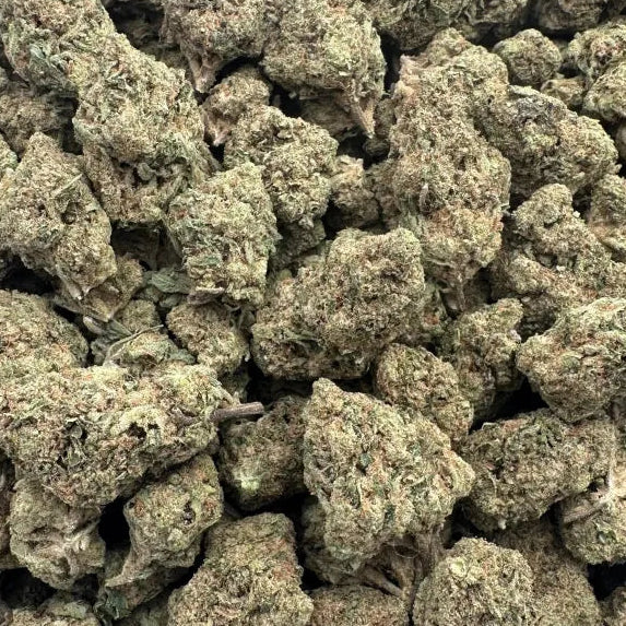 Close-up of dried cannabis buds on a white background