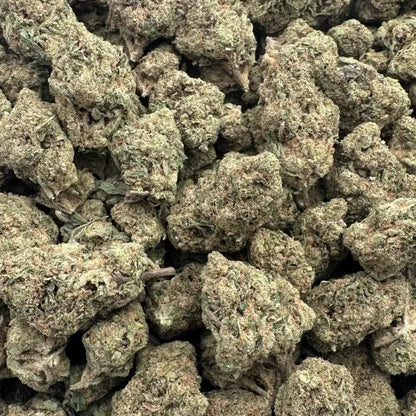 Close-up of dried cannabis buds on a white background