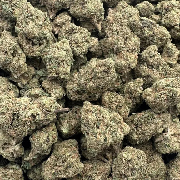Close-up of dried cannabis buds on a white background