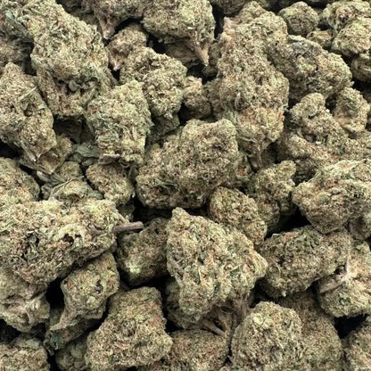 Close-up of dried cannabis buds on a white background