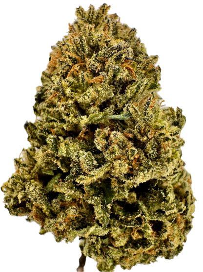 Close-up of a cannabis bud on a white background