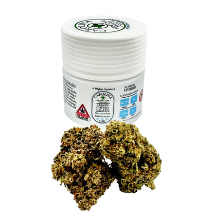 Jar of cannabis resin with cannabis buds on a white background