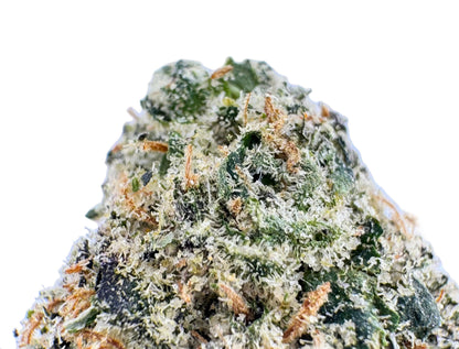 Close-up of a cannabis bud with trichomes on a light blue background
