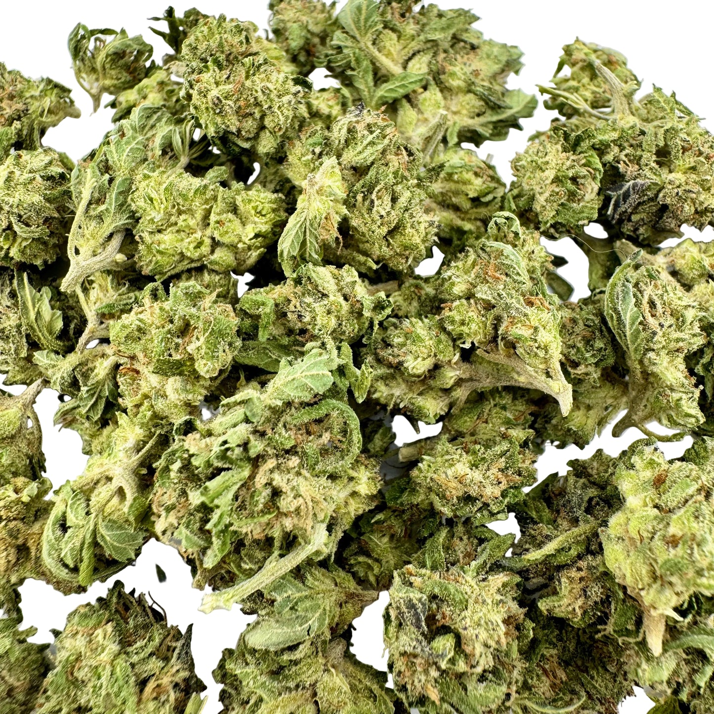 Close-up of dried cannabis buds on a white background