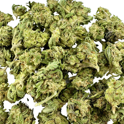 Close-up of dried cannabis buds on a white background