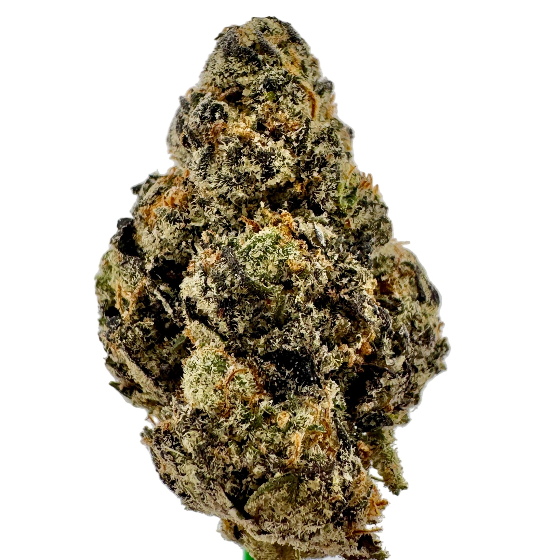 Close-up of a cannabis bud on a light gray background