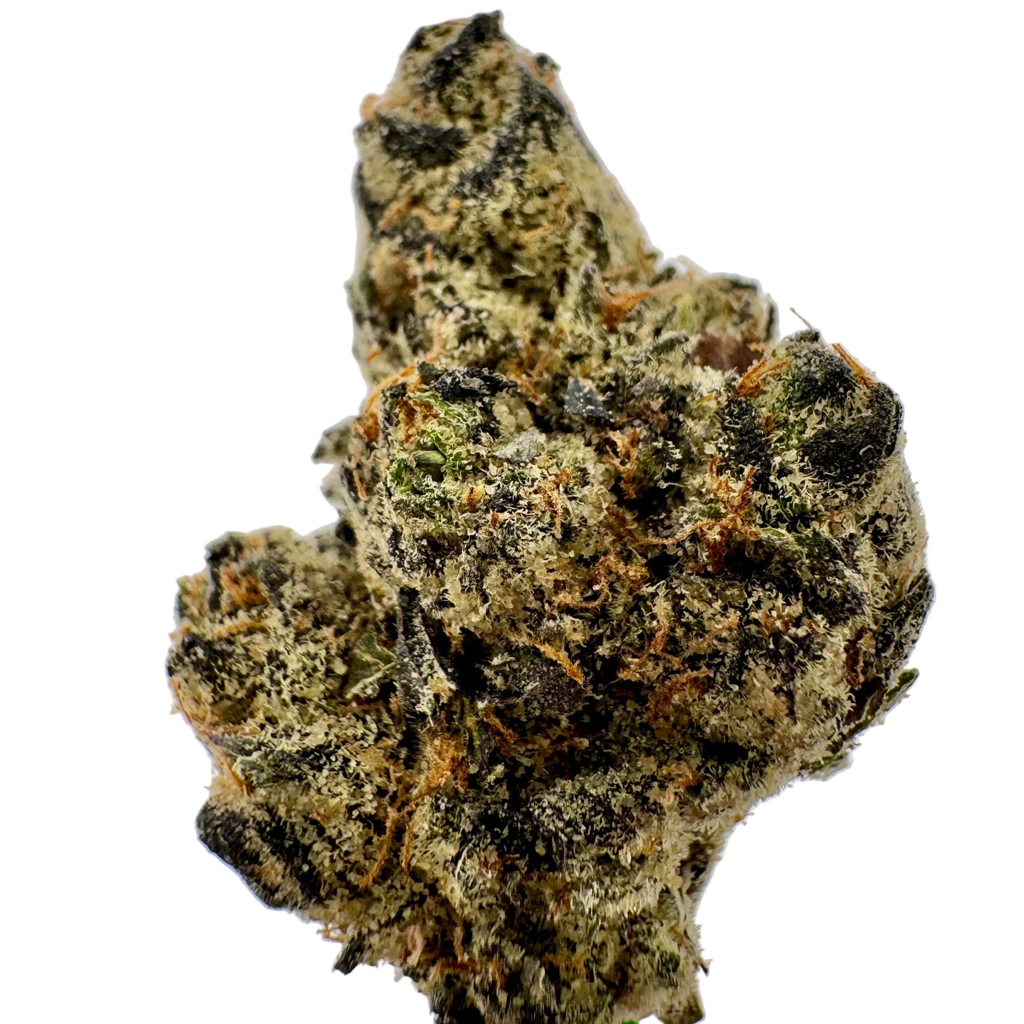 Close-up of a cannabis bud on a white background