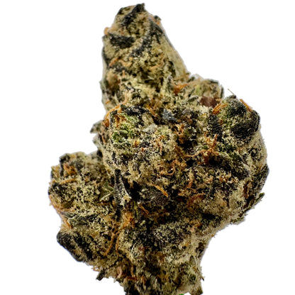 Close-up of a cannabis bud on a white background