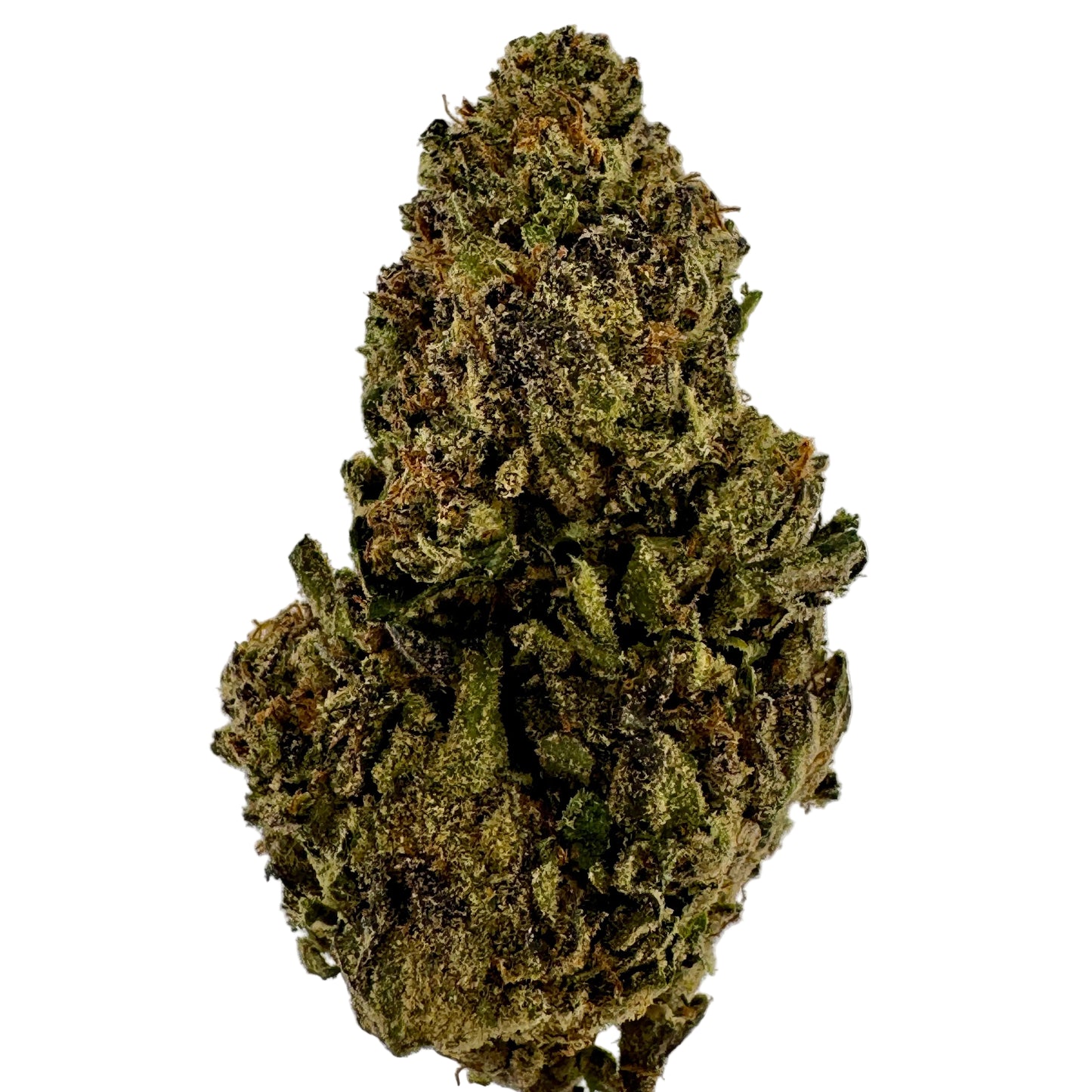 Close-up of a cannabis bud on a light gray background