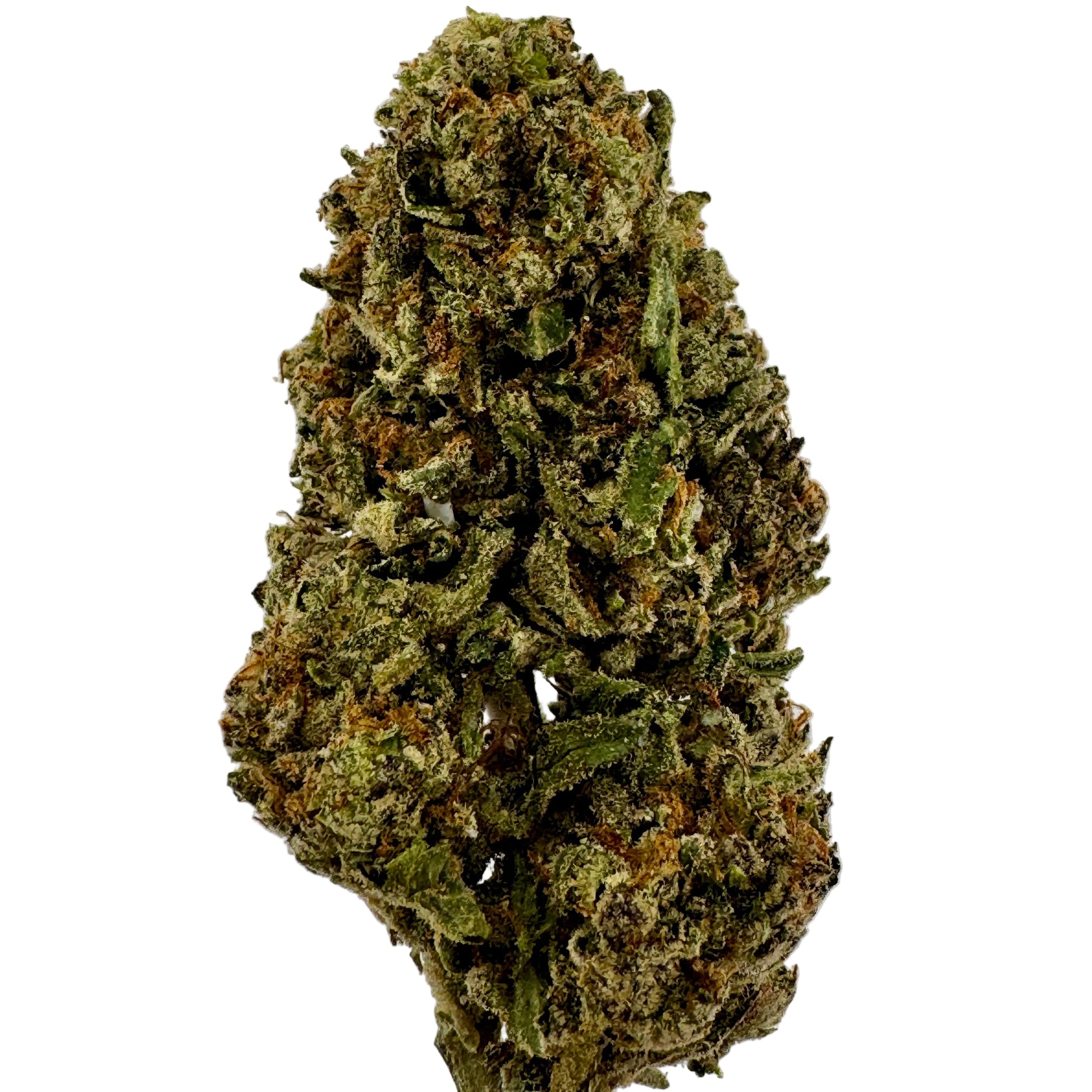 Close-up of a cannabis bud on a white background