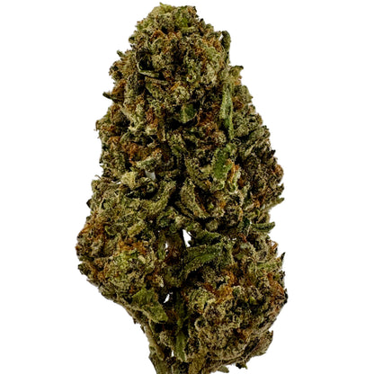 Close-up of a cannabis bud on a white background