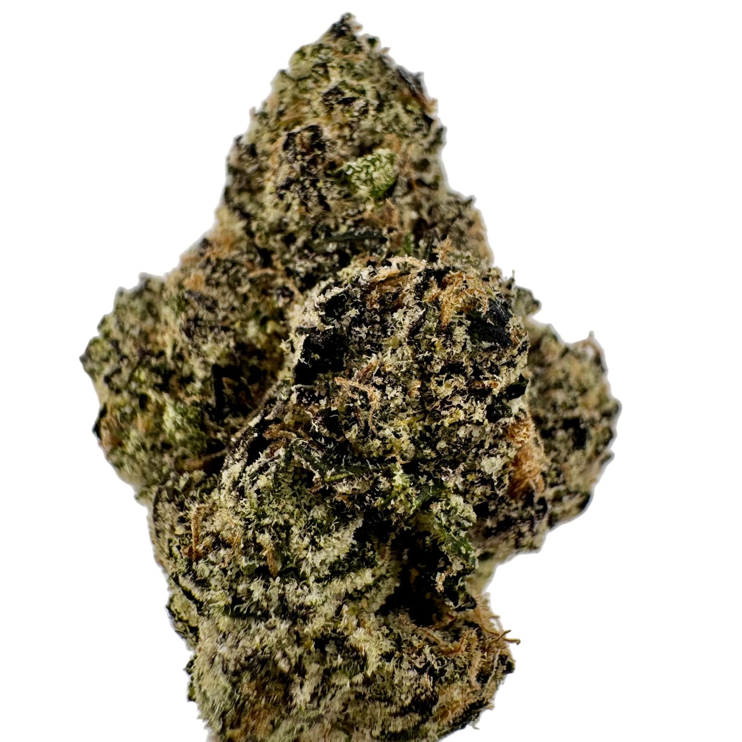 Close-up of a cannabis bud on a white background