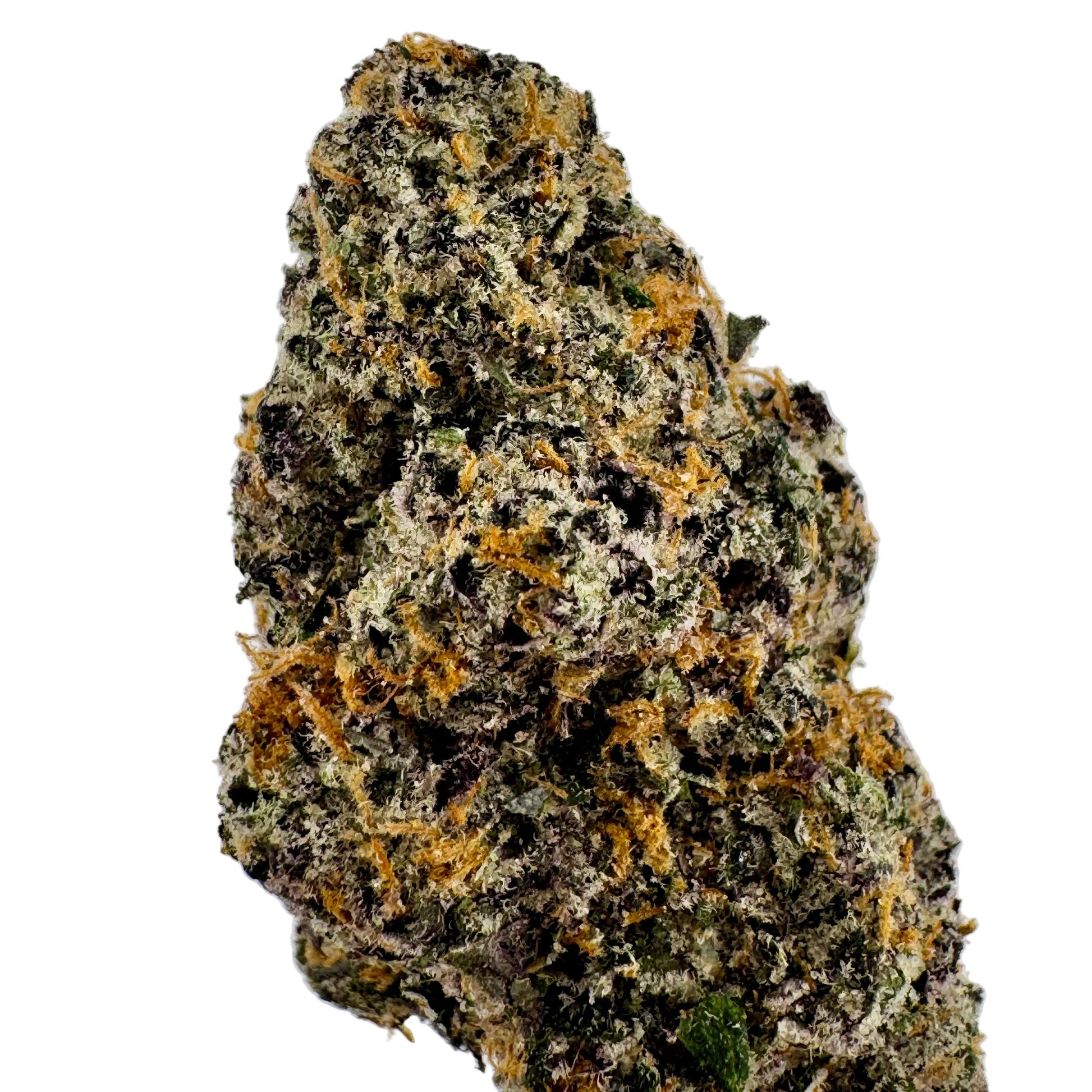 Close-up of a cannabis bud on a light gray background