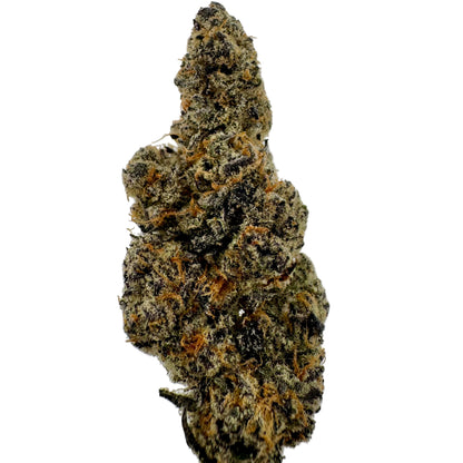 Close-up of a cannabis bud on a white background