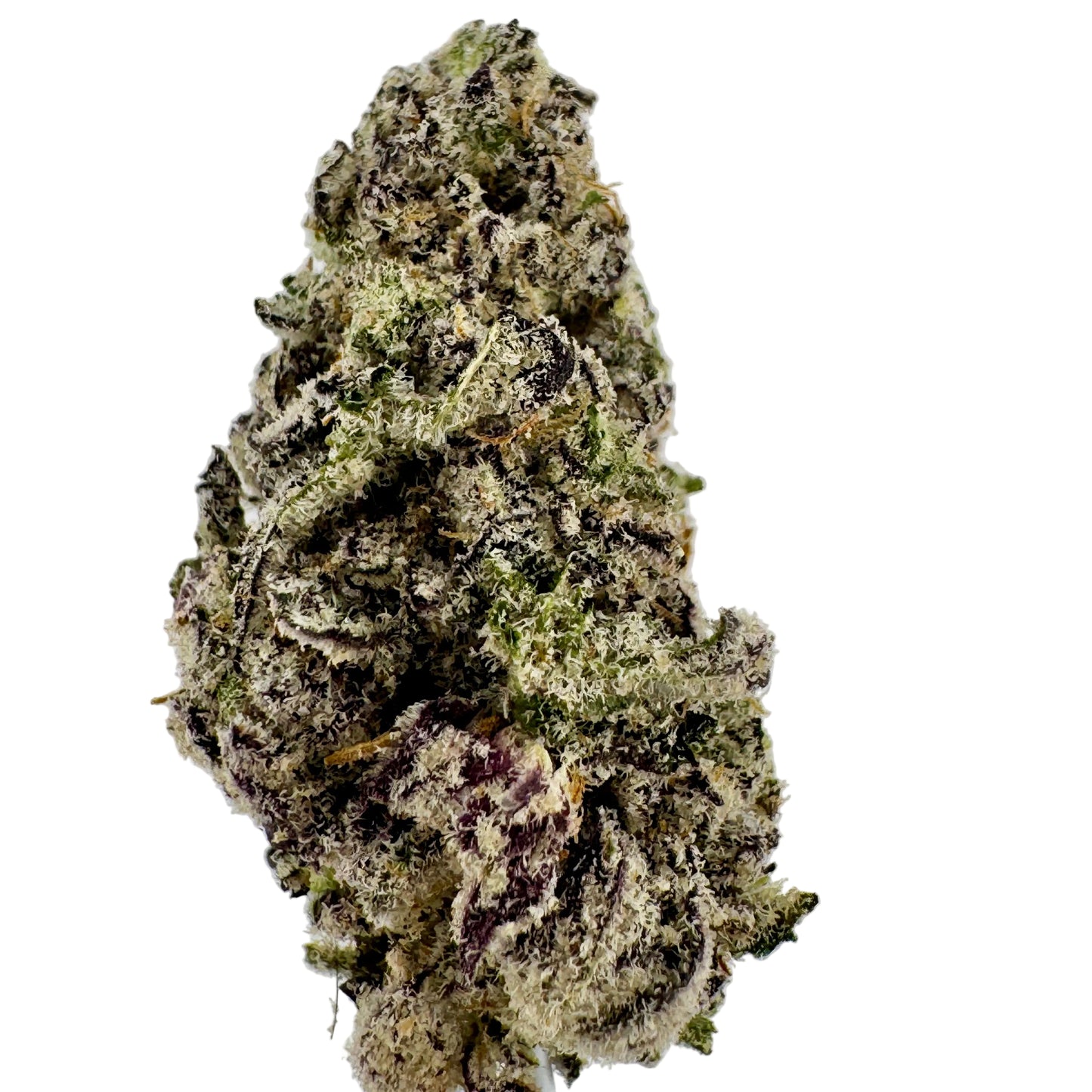 Close-up of a cannabis bud on a light gray background