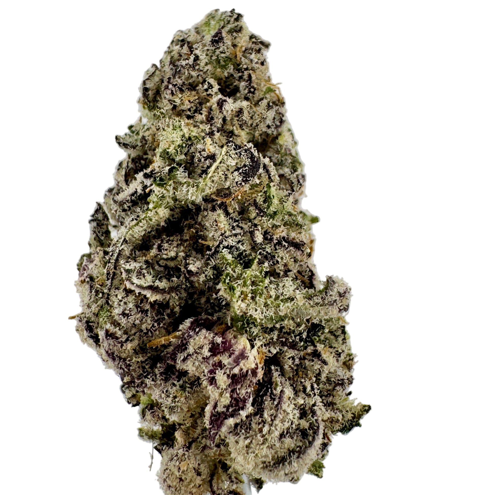 Close-up of a cannabis bud on a light gray background