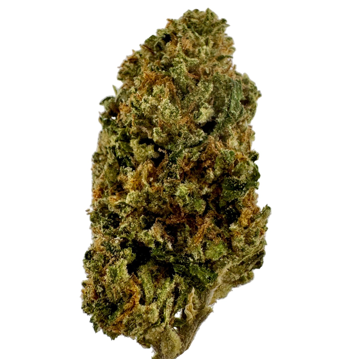 Close-up of a cannabis bud on a light gray background