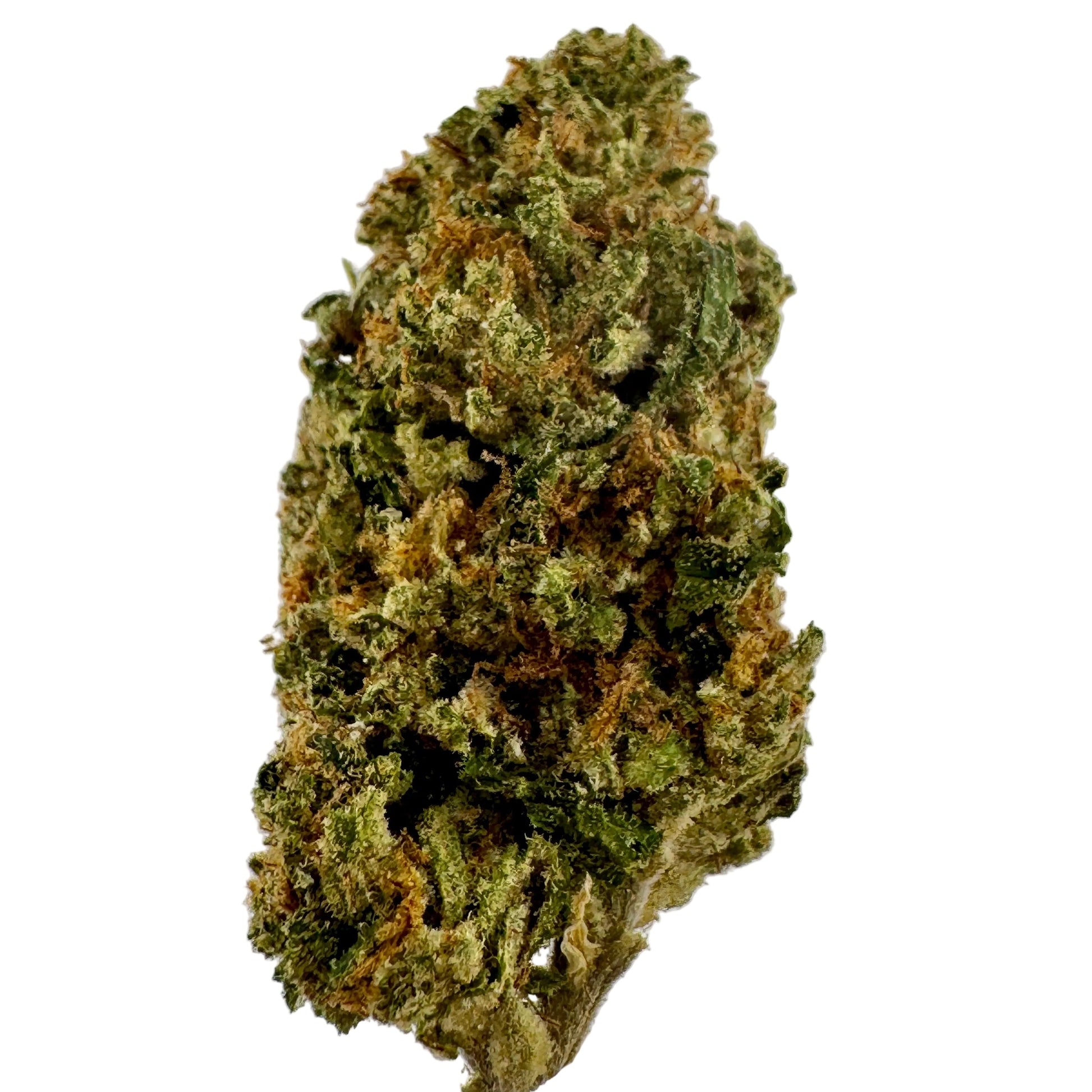 Close-up of a cannabis bud on a light gray background