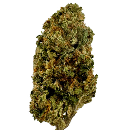 Close-up of a cannabis bud on a light gray background