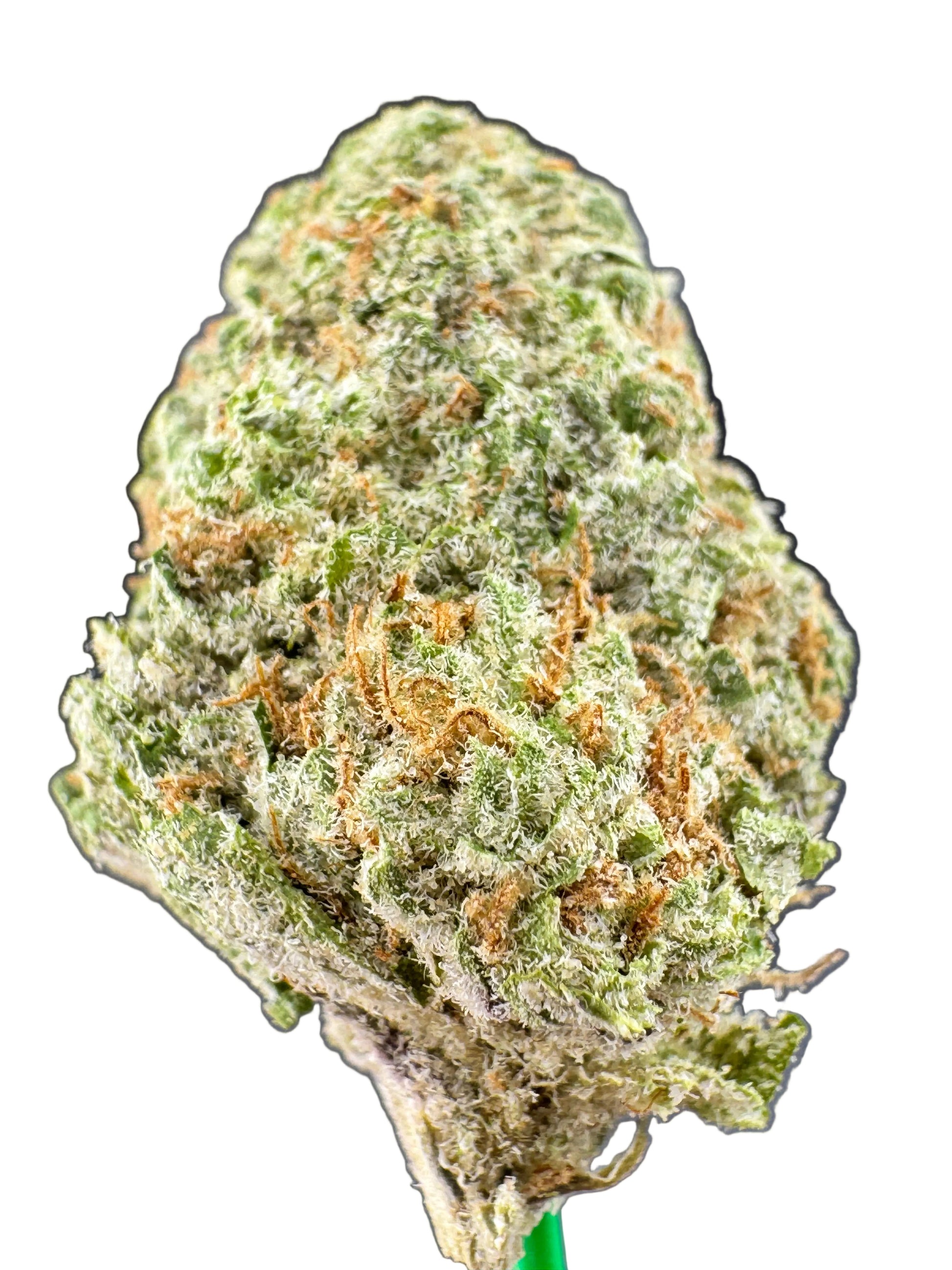 Close-up of a cannabis bud with a dark background