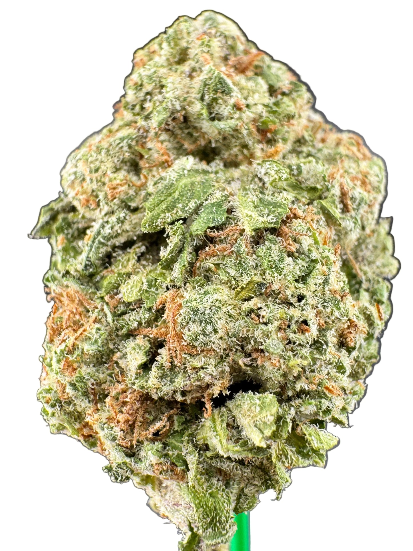 Close-up of a cannabis bud with a dark gray background