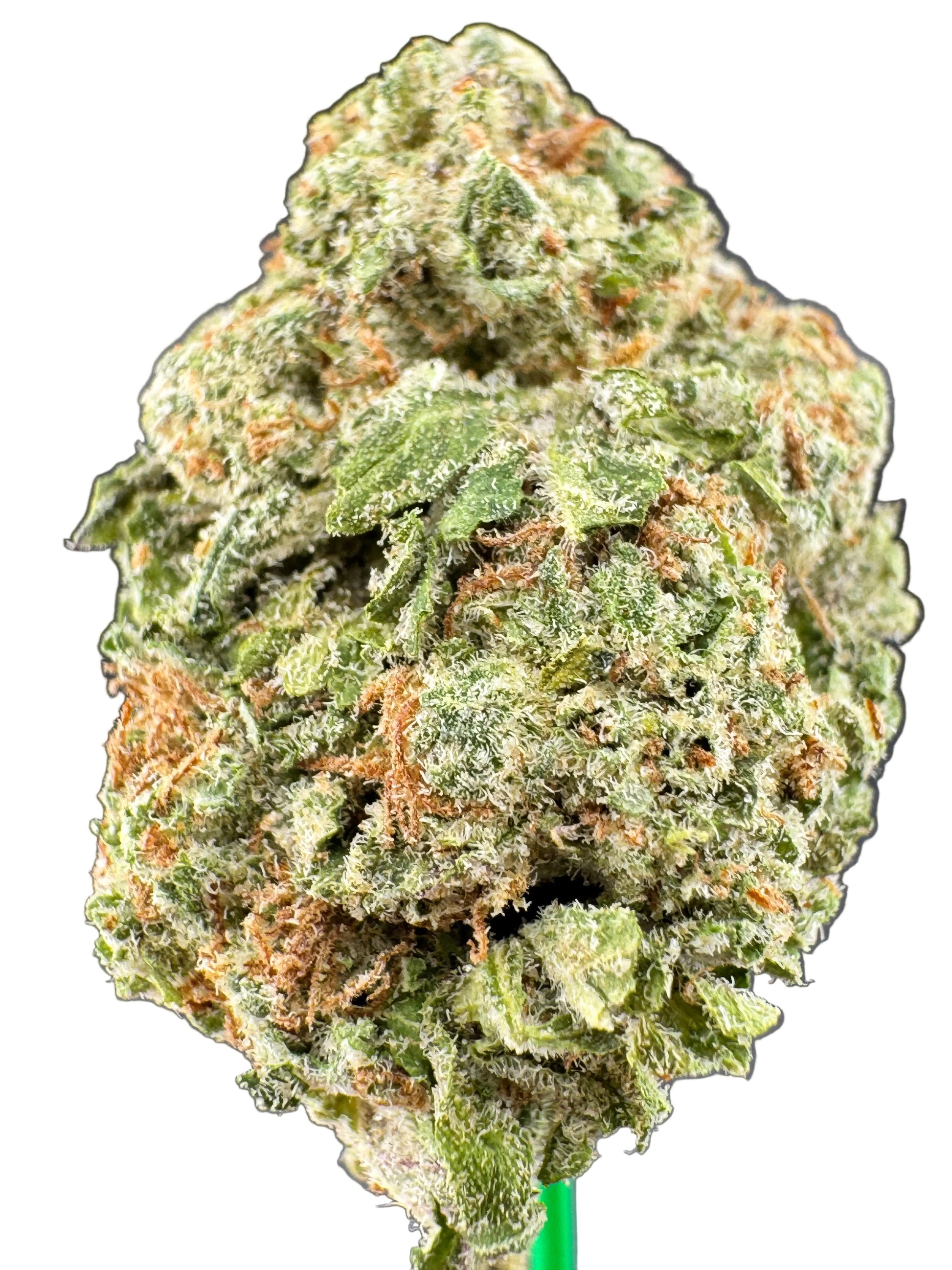 Close-up of a cannabis bud with a dark gray background