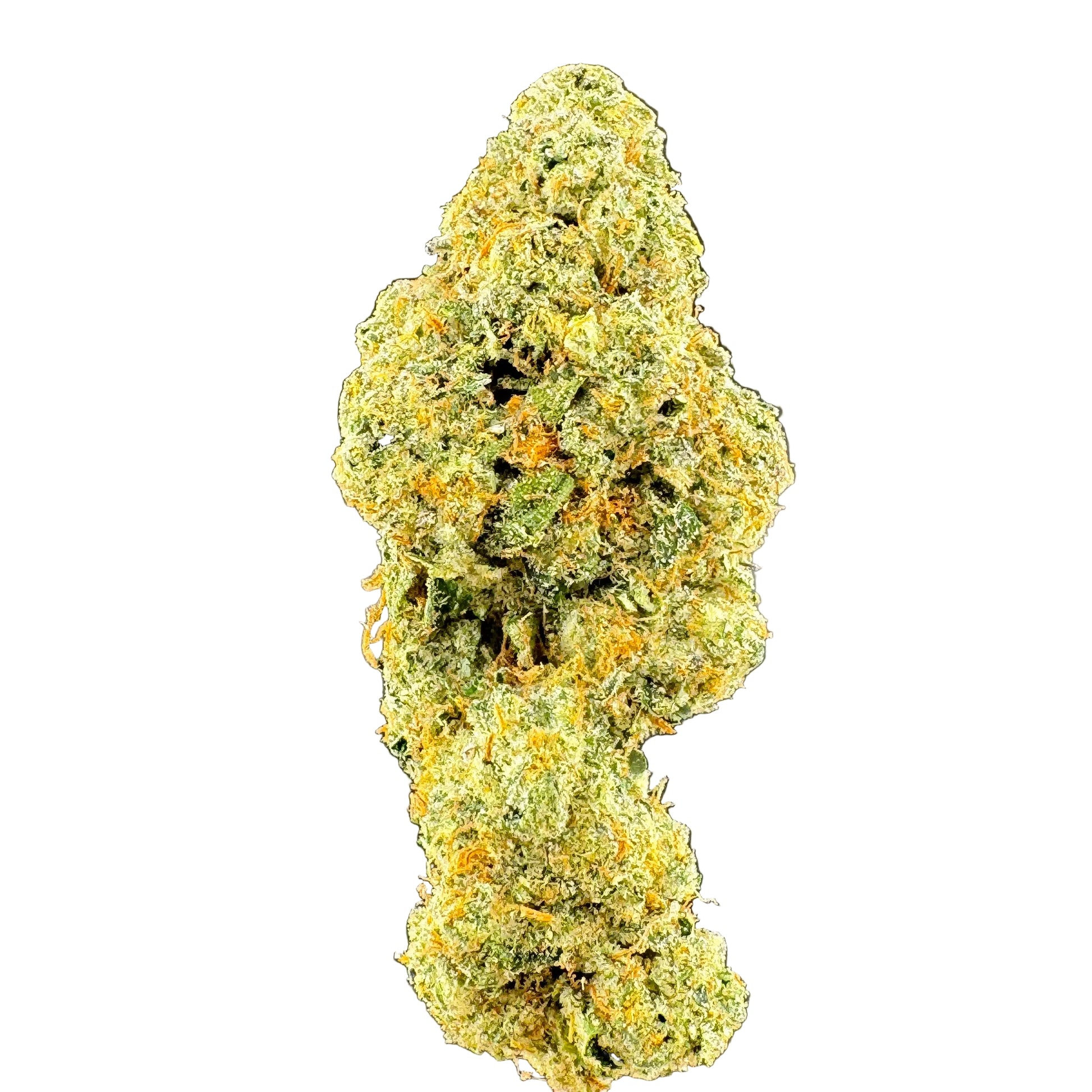Close-up of a cannabis bud on a dark background