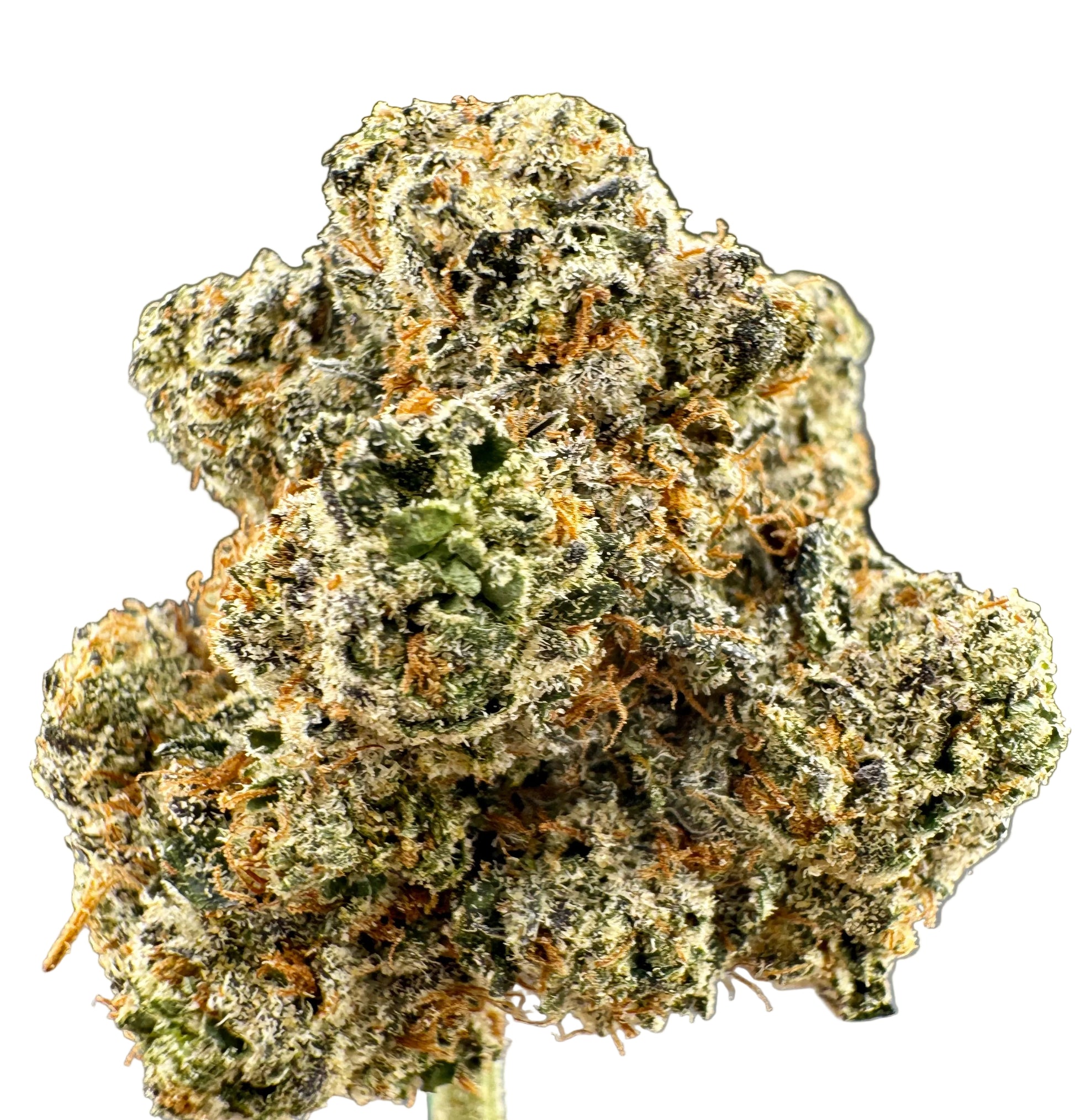 Close-up of a cannabis bud with a gray background