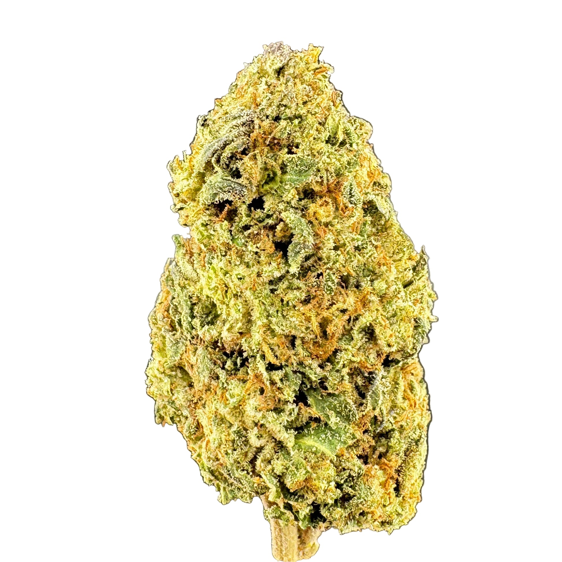 Close-up of a cannabis bud on a gray background