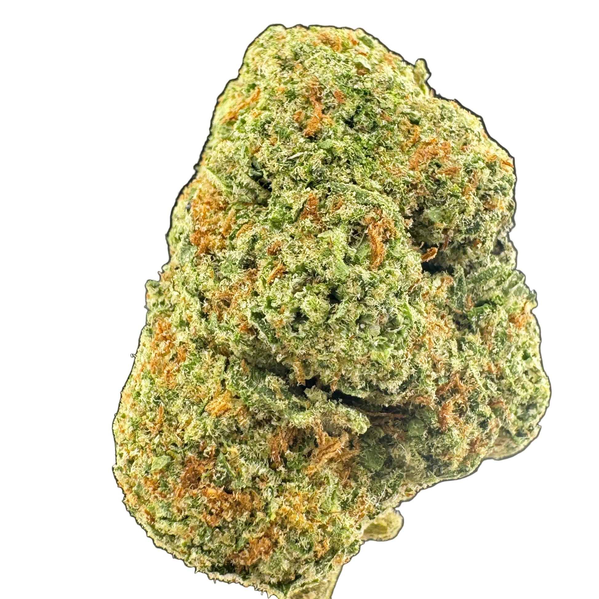 Close-up of a green cannabis bud on a dark background