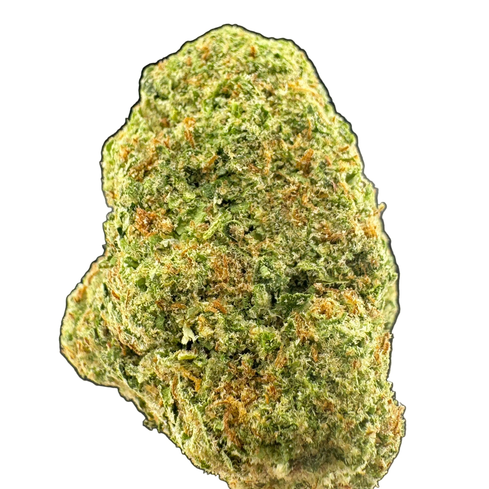 Close-up of a green cannabis bud on a dark background