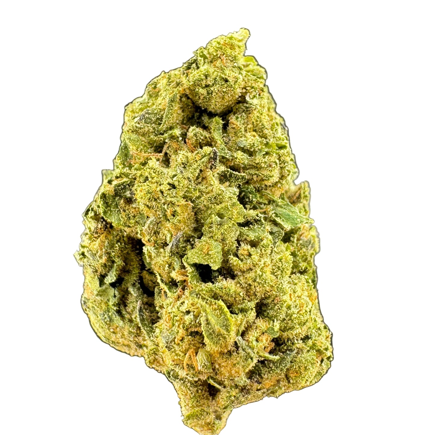 Close-up of a green cannabis bud on a dark background